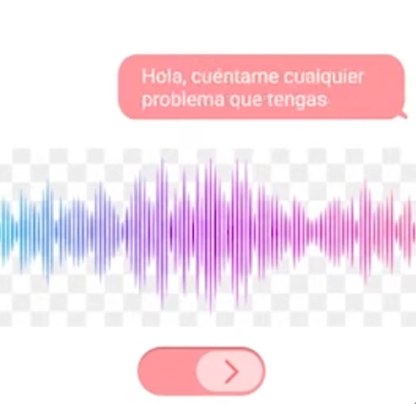 Live Translator